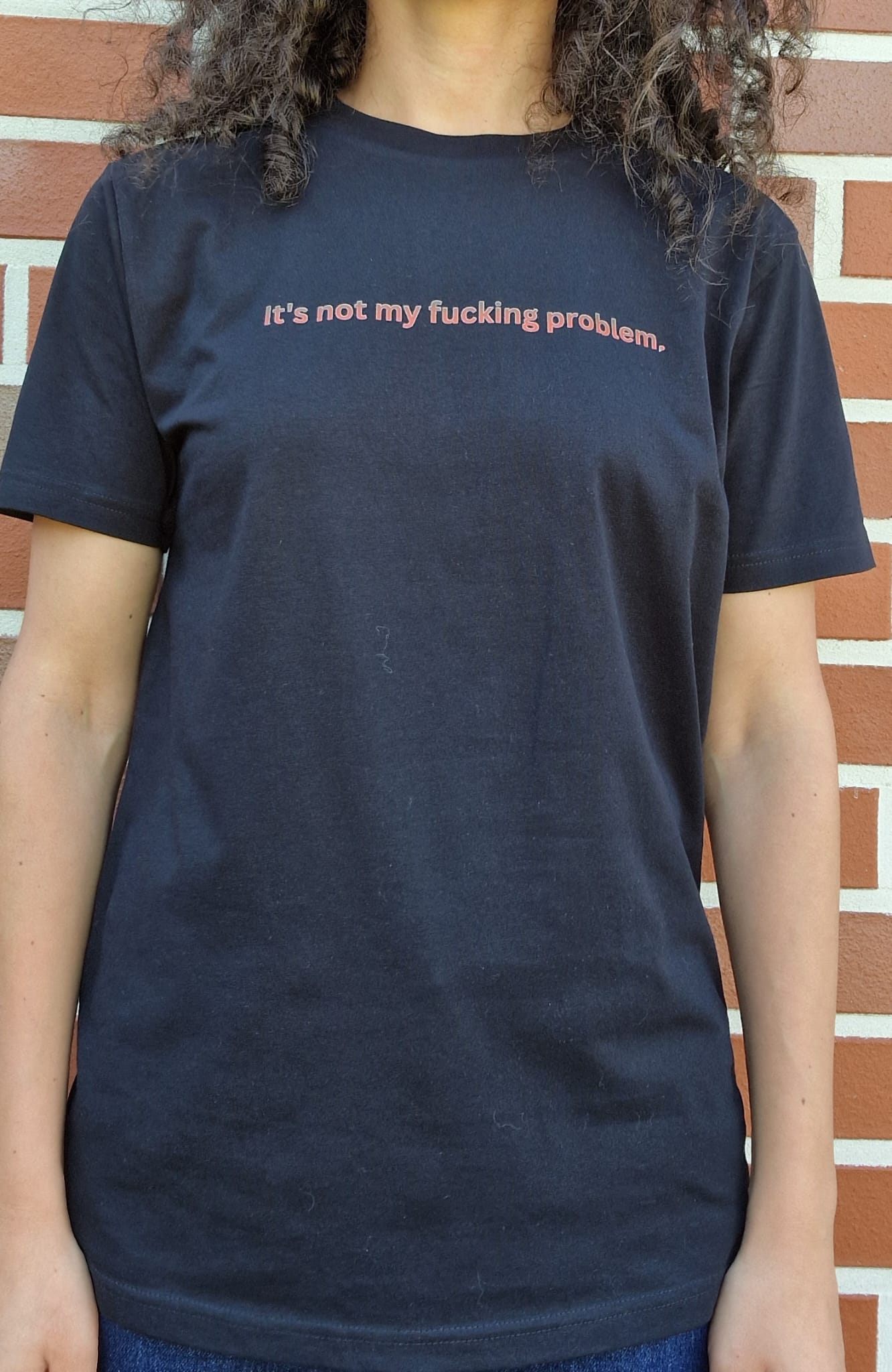 Unisex T-Shirt – Statement Shirt – It's not my f*cking problem